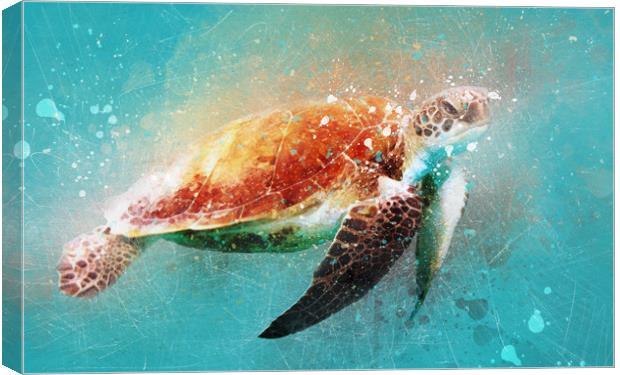 Turtle Watercolor Digital with sketching Canvas Print by Tanya Hall