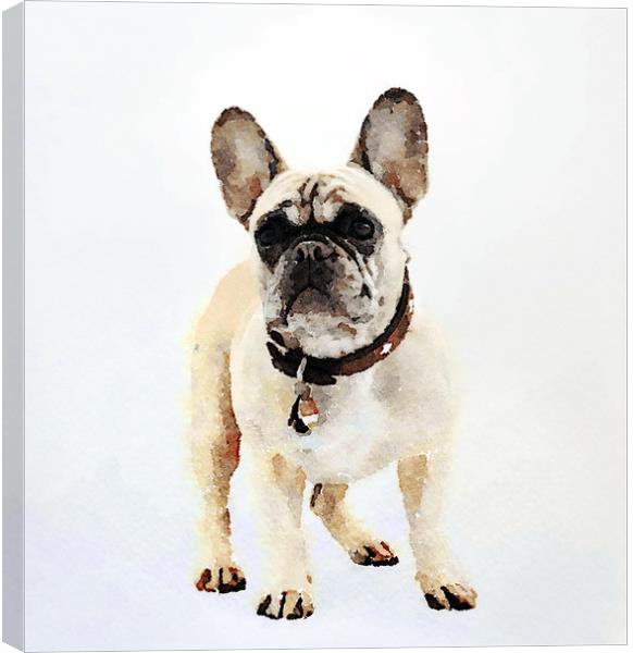 French Bulldog Print Canvas Print by Tanya Hall