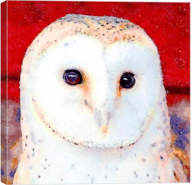 Barn Owl, Watercolour, Digital Painting Canvas Print by Tanya Hall