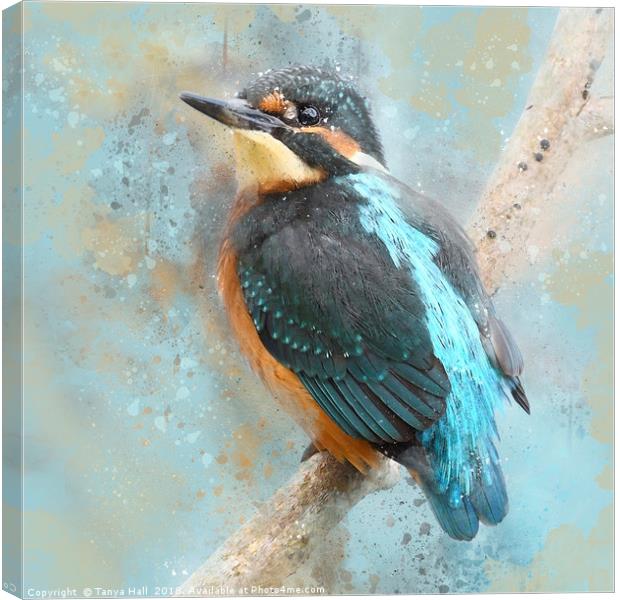Kinfisher, Young Kingfisher, watercolour grunge sp Canvas Print by Tanya Hall
