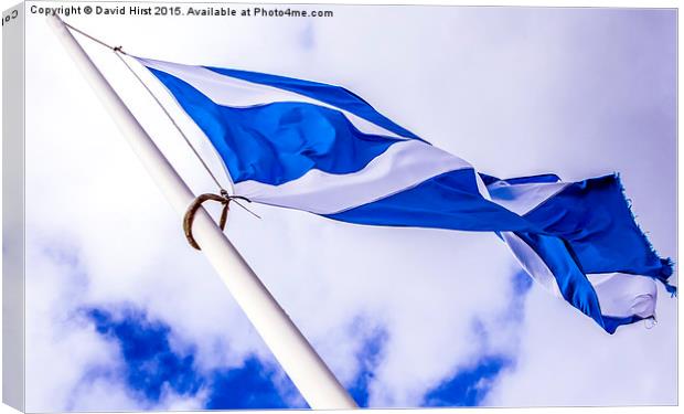  The Saltire Canvas Print by David Hirst