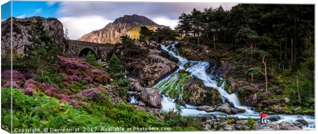 Ogwen Falls in Wales Canvas Print by David Hirst