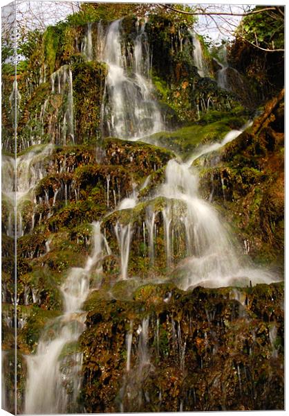 Waterfall Canvas Print by Mike Thomson
