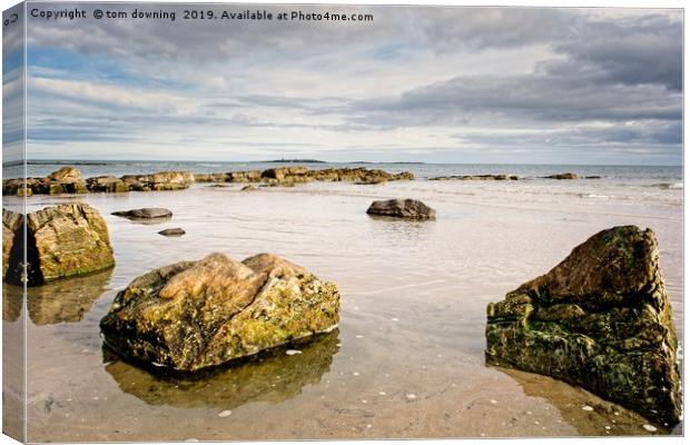 Rocks by the Coast in colour Canvas Print by tom downing