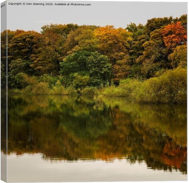 Autumn reflection  Canvas Print by tom downing