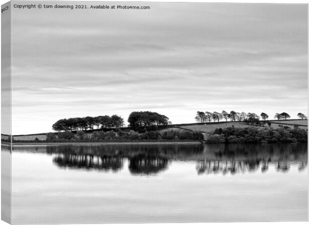 Distant Reflection in black&white Canvas Print by tom downing