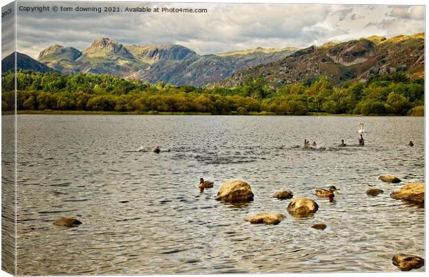 A view from Elterwater Canvas Print by tom downing