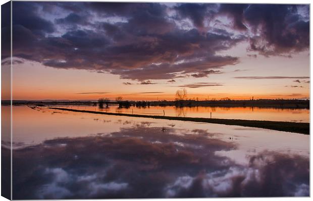  Flooded Levels in Somerset Canvas Print by Bob Small