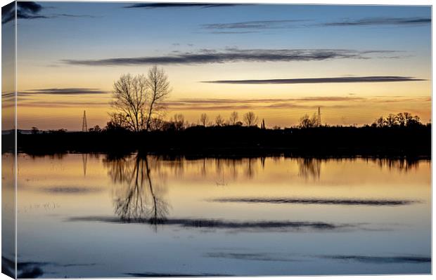 Flooded Levels in Somerset  Canvas Print by Bob Small