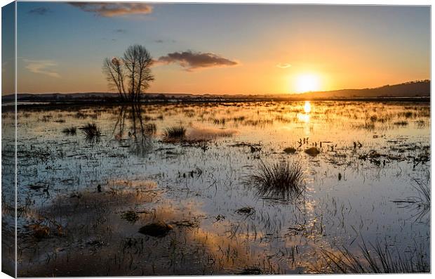 Flooded Levels in Somerset Canvas Print by Bob Small