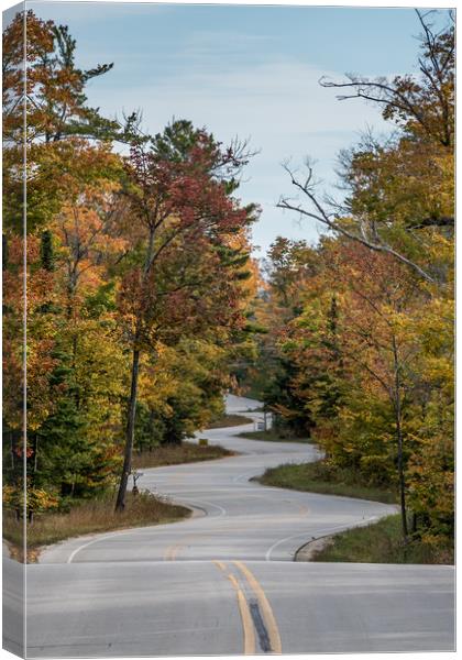 Highway 42 Canvas Print by Bob Small