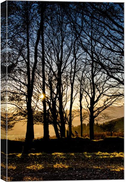 A Quantock Sunset Canvas Print by Bob Small