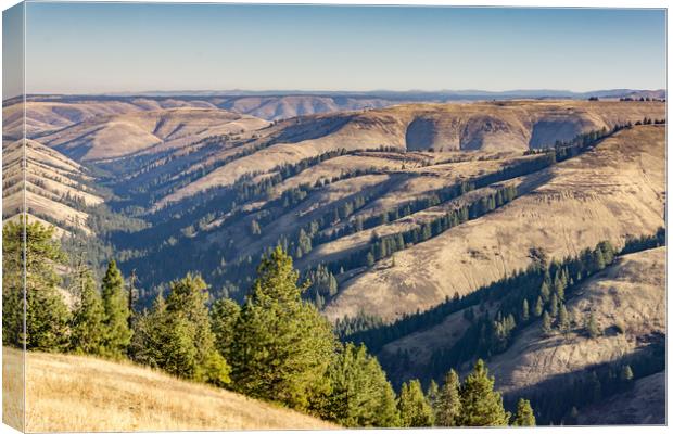 Rolling Hills of Oregon Canvas Print by Bob Small