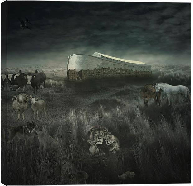  The ark Canvas Print by pricope bogdan