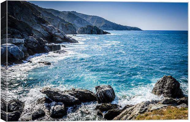  Rocky Shore Canvas Print by David Bradbury