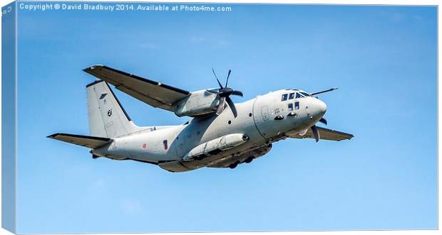  Alenia C-27J Spartan Canvas Print by David Bradbury