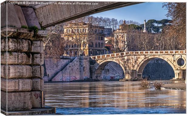 Under Rome's Bridges Canvas Print by David Bradbury