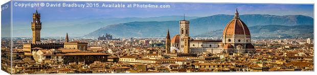  Florence Skyline Canvas Print by David Bradbury