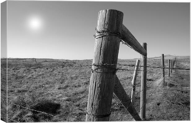  The Fenceline Canvas Print by Brian Ewing
