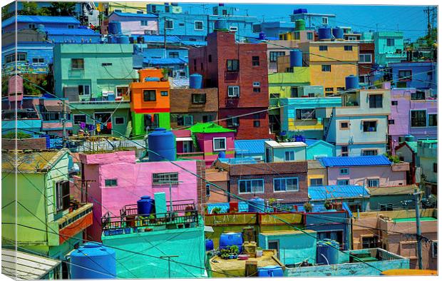  Colors of Busan Canvas Print by Alex Inch