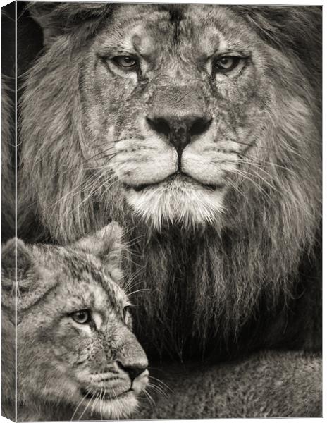 A Fathers love. Canvas Print by Tim Smith