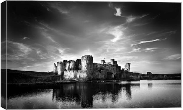  Caerphilly Castle Canvas Print by paul holt