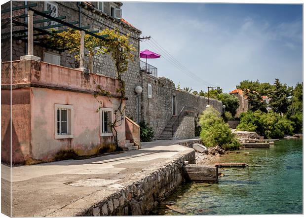  Pink House  Canvas Print by paul holt