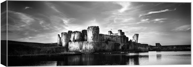Caerphilly Castle  Canvas Print by paul holt