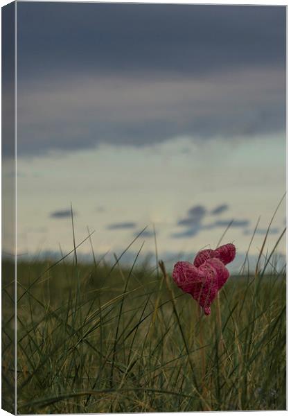  hearts in dunes Canvas Print by Peter De Clercq