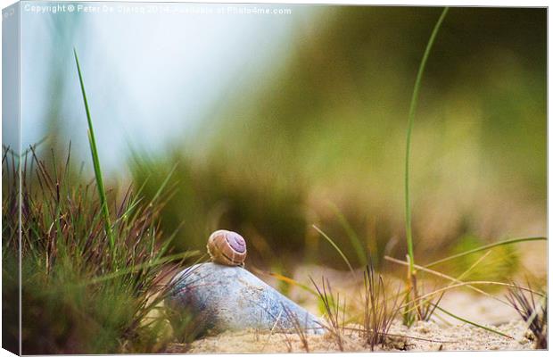  Snail on the Beach Canvas Print by Peter De Clercq