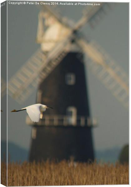  Little egret, big windmill Canvas Print by Peter De Clercq