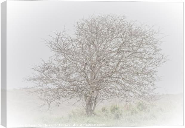Lone Tree Canvas Print by Peter De Clercq
