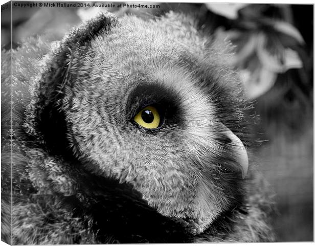  Moody Owl Canvas Print by Mick Holland