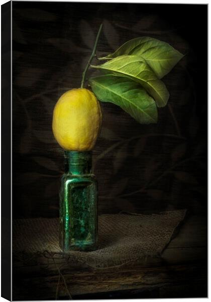 Lemon Squeezy Canvas Print by Garry Quinn