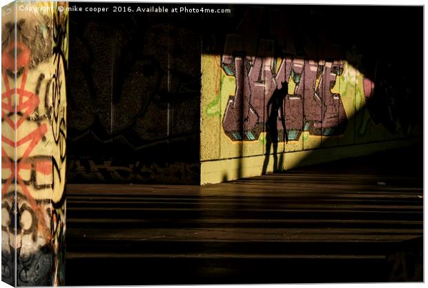 in the shadows Canvas Print by mike cooper