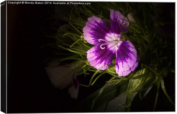  Flowers in the dark Canvas Print by Wendy Mason