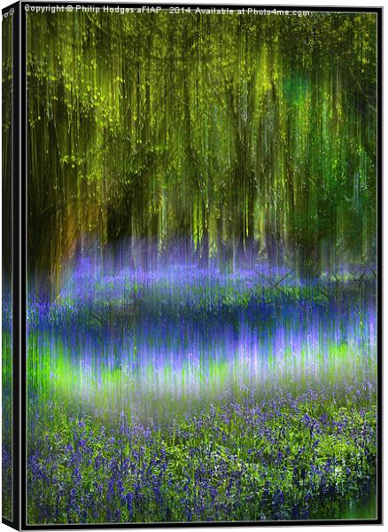  Ethereal Bluebells Canvas Print by Philip Hodges aFIAP ,