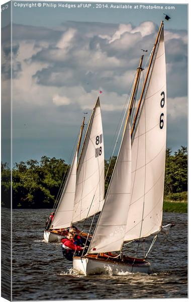  Norfolk Broads Regatta Canvas Print by Philip Hodges aFIAP ,