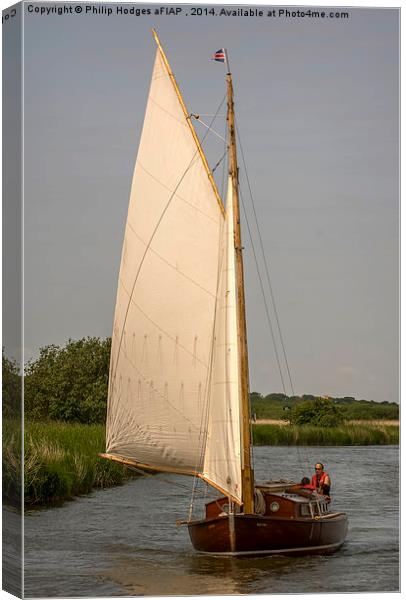  Traditional Norfolk Broads Cruiser Canvas Print by Philip Hodges aFIAP ,