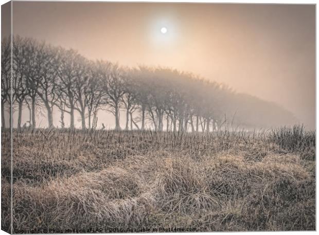 Exmoor Frost and Mist Canvas Print by Philip Hodges aFIAP ,