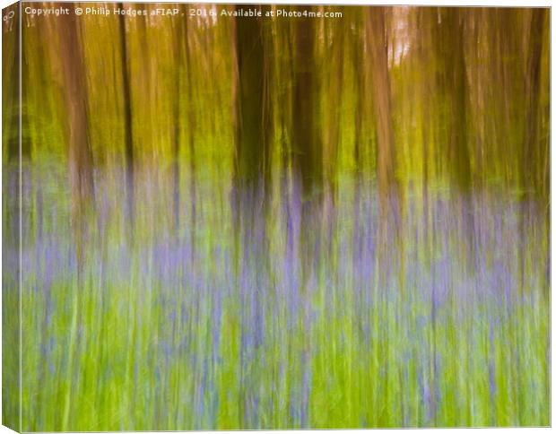 Bluebell Impressions 1 Canvas Print by Philip Hodges aFIAP ,