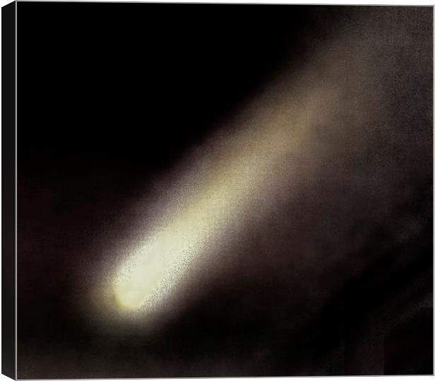 Neowise Comet Canvas Print by Philip Hodges aFIAP ,