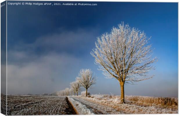 Christmas Frost Canvas Print by Philip Hodges aFIAP ,