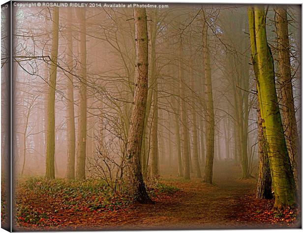  "MISTY WOOD" Canvas Print by ROS RIDLEY