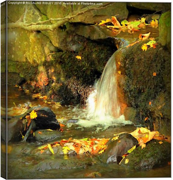 "AUTUMN WATERFALL"  Canvas Print by ROS RIDLEY