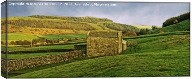 "STONE BARN ON THE MOORS" Canvas Print by ROS RIDLEY