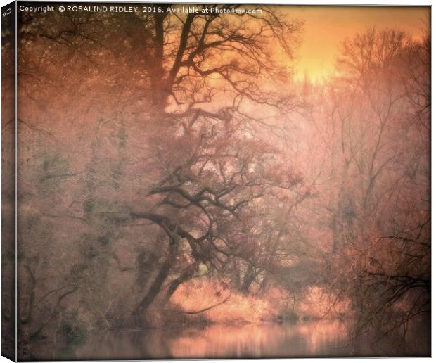 "SUNSET ON THE RIVER WANSBECK" Canvas Print by ROS RIDLEY