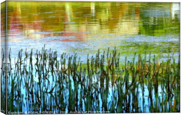 "SUNNY REFLECTIONS IN THE LAKE" Canvas Print by ROS RIDLEY
