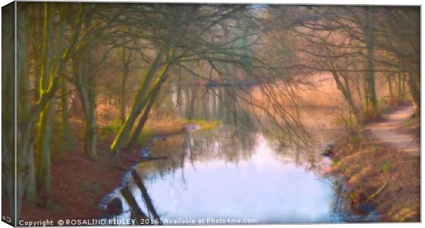 "EVENING LIGHT  AND REFLECTIONS ON THE LAKE" Canvas Print by ROS RIDLEY