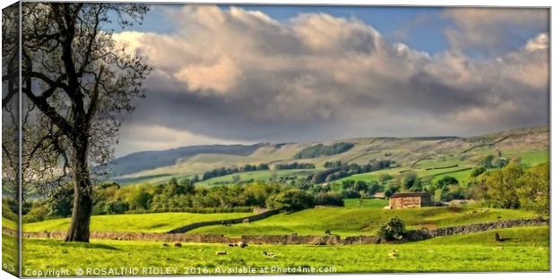 "EVENING LIGHT AND STORMY SKIES OVER WENSLEYDALE" Canvas Print by ROS RIDLEY